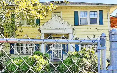 Ultra Cheap Old Houses: Issue #245 💛