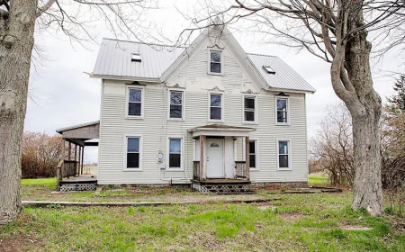 Cheap Old Farmhouses: Issue #287 💛